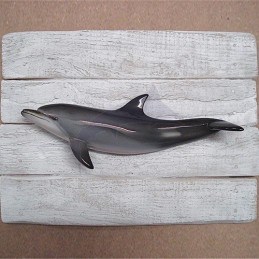 Grey Dolphin