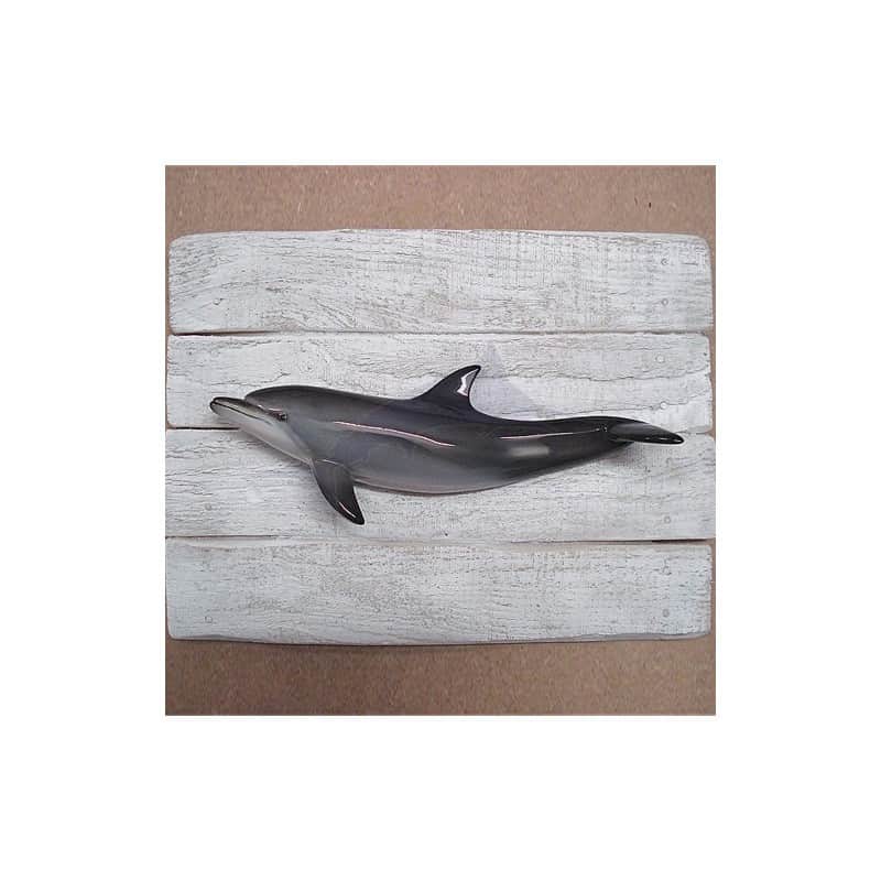 Grey Dolphin Grey Dolphin