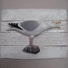 Silver Seagull