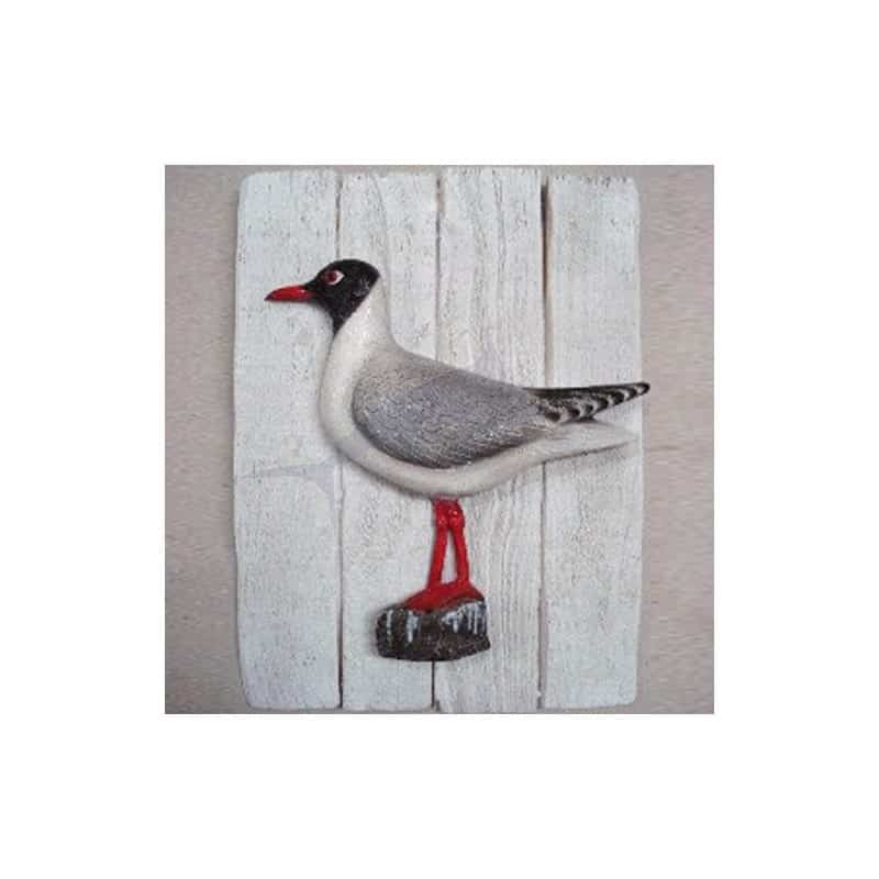 Cadre mouette rieuse Cap Vert