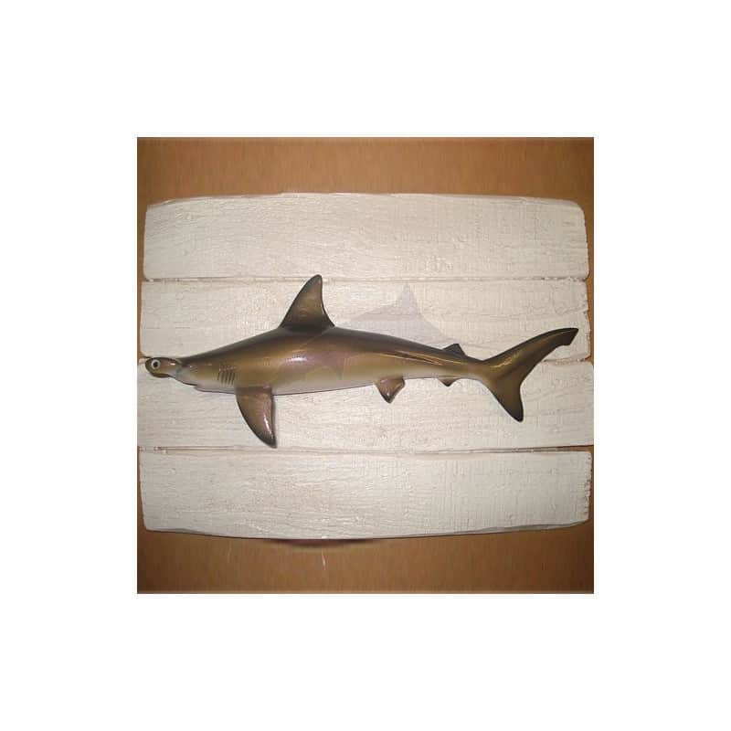 Cadre requin marteau Cap Vert