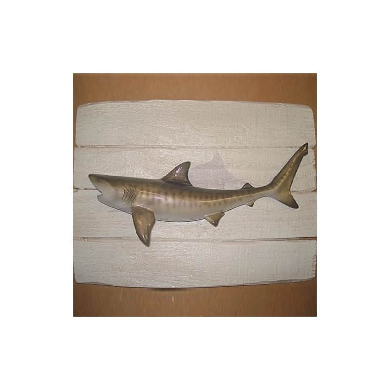 Tiger Shark Tiger Shark