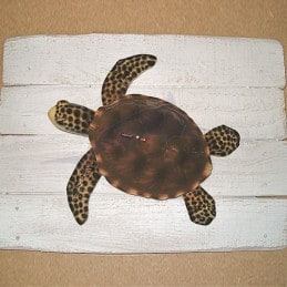 Cadre Tortue Marine Cap Vert