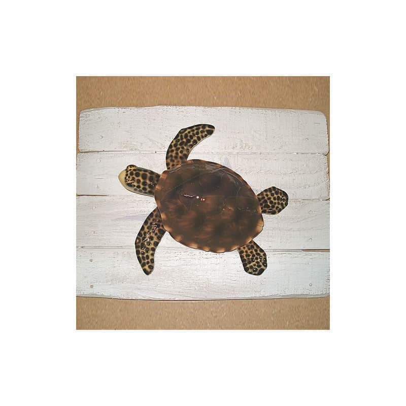 Cadre Tortue Marine Cap Vert