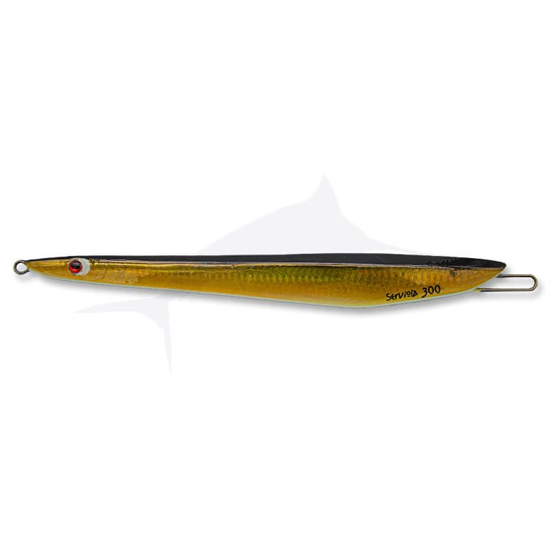 Fishus Serviola 09 Fishus Serviola 09