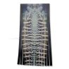 Vinyl Lure Skirt Sheet Captain Frothy