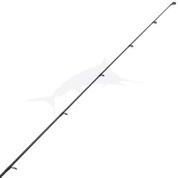 Daiwa Labrax Seabass - scion