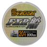 Seaguar Fluorocarbon FXR 100m 20