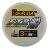 Seaguar Fluorocarbon FXR 100m 3