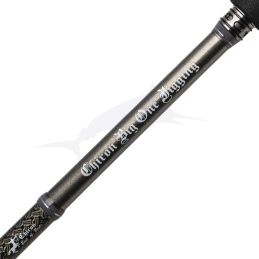 Rod Centaur Chiron Big One Jigging