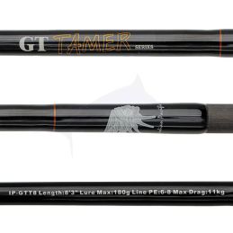 Canne ASWB GT Tamer IP-GTT8
