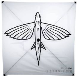 California Flyer Light Wind Fishing Kite