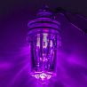 Lindgren-Pitman Electralume Light - Purple