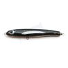 Lure Patriot Design Fat Pat A-Quick - 240 - B.G Moray Orange