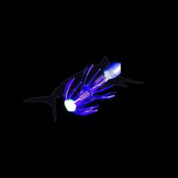 Lure Rapala Floater Squid SQF13 crown
