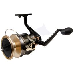 Daiwa Gold Silver B-right