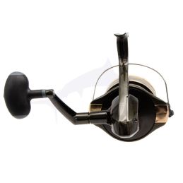 Daiwa Gold Silver B-back