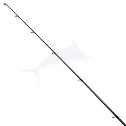 Favorite X1.1 Saltwater scion