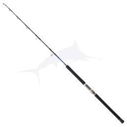 Daiwa Saltiga Jigging 24 SGJGD55CF