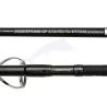 Daiwa Saltiga Jigging 24 SGDEEPEX60CF
