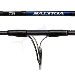 Daiwa Saltiga Jigging 24 SGJG58HSCF ring