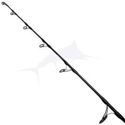 Daiwa Saltiga Jigging 24 SGJGD55CF tip