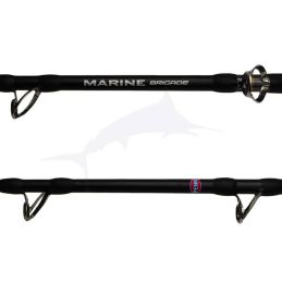 Canne Penn Marine Brigade Trolling Rod