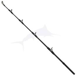 Hearty Rise Skywalker Jigging Spinning Serie Limited tip