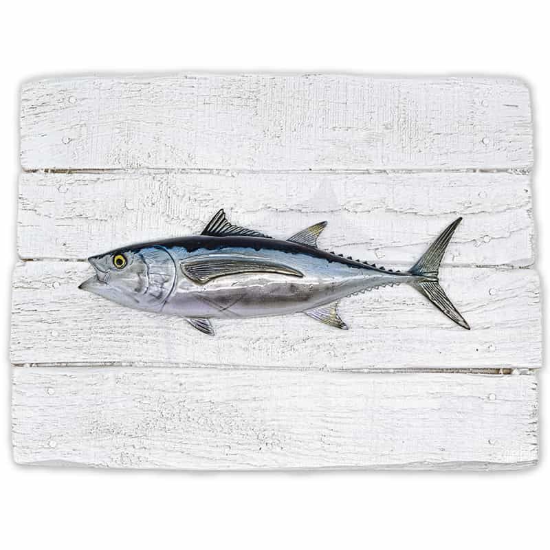 Cadre poisson Thon Germon Cap Vert Cadre poisson Thon Germon Cap Vert