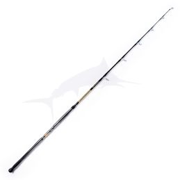 Fisherman GT Game TRS