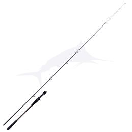 Daiwa Saltist Tenya