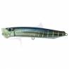 Tackle House Feed Popper 120
