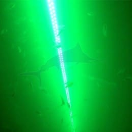 Hydro Glow light HG1000