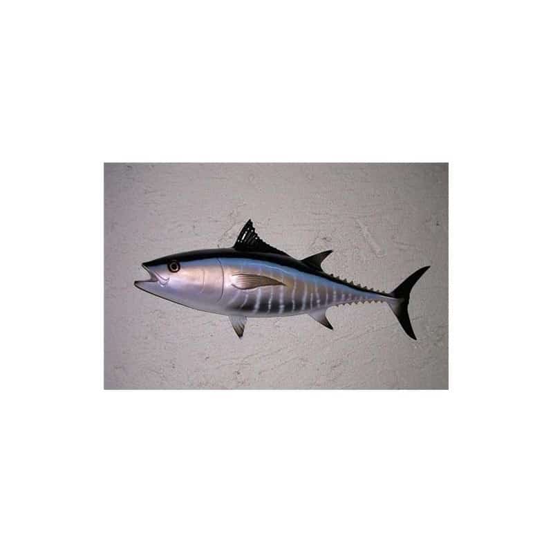 Sculpture Mural bluefin tuna