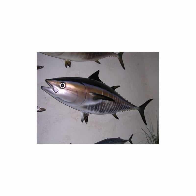 Bluefin Tuna 100 Bluefin Tuna 100