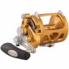 Penn International VI Series dual speed wide