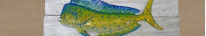 Cadres 19 x 25 cm (poissons)