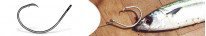 Circle hook